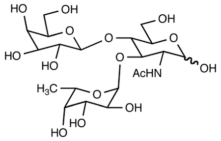 Lewis X Trisaccharide