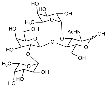 Lewis Y Tetrasaccharide