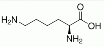 L-Lysine