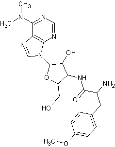 Puromycin