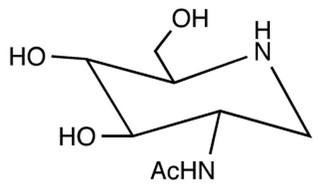 2-Acetamido-1,2-dideoxynojirimycin