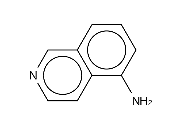 5-Aminoisoquinoline