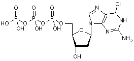2-Amino-6-chloro-9-(2-deoxy-β-D-ribofuranosyl)purine-5-triphosphate
