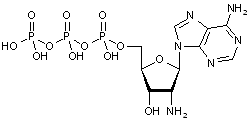 2-Amino-2-deoxyadenosine-5-triphosphate