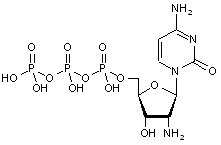 2-Amino-2-deoxycytidine-5-triphosphate