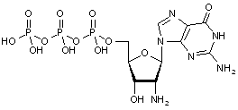 2-Amino-2-deoxyguanosine-5-triphospate tetralithium salt