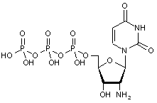 2-Amino-2-deoxyuridine-5-triphosphate