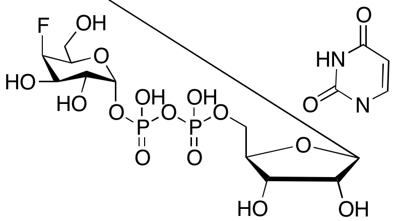 Uridine-5-diphosphate-4-deoxy-4-fluoro-α-D-galactose