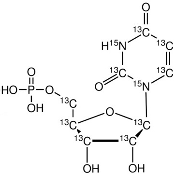 Uridine 5-monophosphate-13C9,15N2 (Li2 salt)