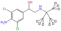 (±)-Clenbuterol-d9 (trimethyl-d9)