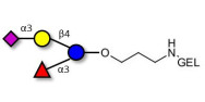 3’-Sialyl-3-Fucosyllactose grafted on gel for affinity chromatography (Linker-GEL B)