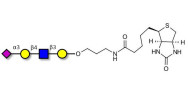 Sialylated tetraose type 2 linked to biotin (Linker-BT B)