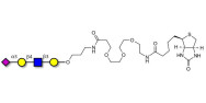 Sialylated tetraose type 2 linked to biotin (Linker-BT C)