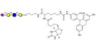 Sialylated tetraose type 2 linked to biotin and fluorescein (Linker-BT-FLUO A)