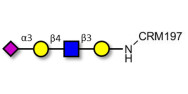 Sialylated tetraose type 2 grafted on CRM197