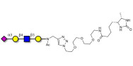 Sialylated tetraose type 2 linked to desthiobiotin (Linker-DBT-A)
