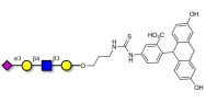 Sialylated tetraose type 2 linked to fluorescein (Linker-FLUO A)