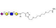 Sialylated tetraose type 2 grafted on gel for affinity chromatography (Linker-GEL A)