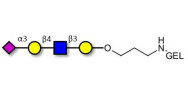 Sialylated tetraose type 2 grafted on gel for affinity chromatography (Linker-GEL B)
