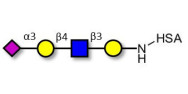 Sialylated tetraose type 2 grafted on HSA