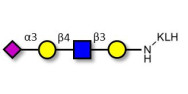 Sialylated tetraose type 2 grafted on KLH