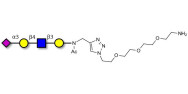 Sialylated tetraose type 2 with free terminal amine (Linker-NH2 B)