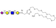 Sialylated tetraose type 2 with free terminal amine (Linker-NH2 C)