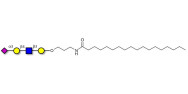 Sialylated tetraose type 2 with stearic chain (Linker-STEA A)