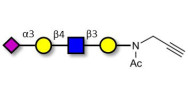 Sialylated tetraose type 2 with terminal alkyne (Linker-CΞCH A)
