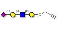 Sialylated tetraose type 2 with terminal alkyne (Linker-CΞCH B)