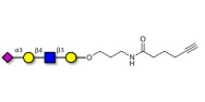 Sialylated tetraose type 2 with terminal alkyne (Linker-CΞCH C)