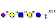 LS-Tetrasaccharide d (LSTd)  grafted on BSA