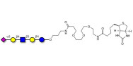 LS-Tetrasaccharide d (LSTd)  linked to biotin (Linker-BT C)