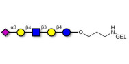LS-Tetrasaccharide d (LSTd)  grafted on gel for affinity chromatography (Linker-GEL B)