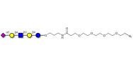 LS-Tetrasaccharide d (LSTd)  with terminal azide (Linker-N3 A)