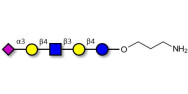 LS-Tetrasaccharide d (LSTd)  with free terminal amine (Linker-NH2 A)