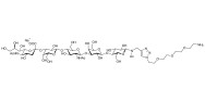 LS-Tetrasaccharide d (LSTd)  with free terminal amine (Linker-NH2 B)