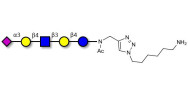 LS-Tetrasaccharide d (LSTd)  with free terminal amine (Linker-NH2 D)