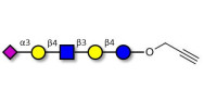 LS-Tetrasaccharide d (LSTd)  with terminal alkyne (Linker-CΞCH B)