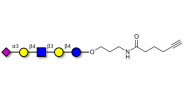 LS-Tetrasaccharide d (LSTd)  with terminal alkyne (Linker-CΞCH C)