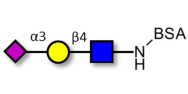 Sialylated triose type 2 (sLex precursor) grafted on BSA