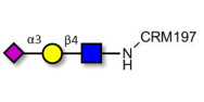 Sialylated triose type 2 (sLex precursor) grafted on CRM197