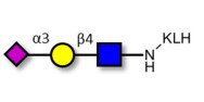 Sialylated triose type 2 (sLex precursor) grafted on KLH
