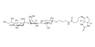 3'-Sialyllactose (3'-SL) / GM3 Ganglioside oligosaccharide linked to biotin (Linker-BT B)