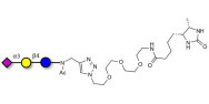 3'-Sialyllactose (3'-SL) / GM3 Ganglioside oligosaccharide linked to desthiobiotin (Linker-DBT-A)