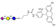 3'-Sialyllactose (3'-SL) / GM3 Ganglioside oligosaccharide linked to fluorescein (Linker-FLUO A)