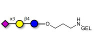 3'-Sialyllactose (3'-SL) / GM3 Ganglioside oligosaccharide grafted on gel for affinity chromatography (Linker-GEL B)