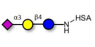 3'-Sialyllactose (3'-SL) / GM3 Ganglioside oligosaccharide grafted on HSA