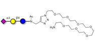 3'-Sialyllactose (3'-SL) / GM3 Ganglioside oligosaccharide with free terminal amine (Linker-NH2 C)