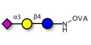 3'-Sialyllactose (3'-SL) / GM3 Ganglioside oligosaccharide grafted on OVA